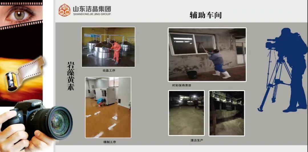 威客电竞集团第四届“庆元旦‘7S’现场管理成果”职工摄影展圆满完成