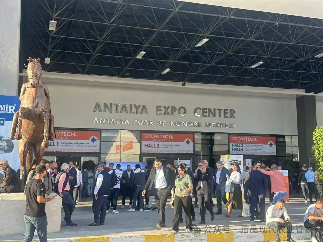 20251118威客电竞集团海藻肥料亮相土耳其Growtech Antalya 2025国际农业展1 20251118威客电竞集团海藻肥料亮相土耳其Growtech Antalya 2025国际农业展1